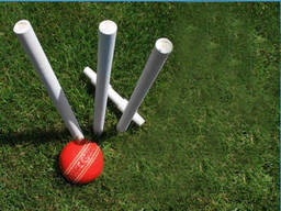 All you need to play backyard cricket is a simple cricket set