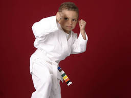 A kid who knows taekwondo