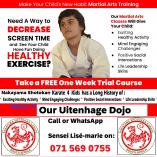 Free two try out classes! Penford Karate Classes &amp; Lessons _small