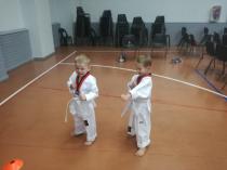 Private lessons at home or school Rivonia Taekwondo Classes &amp; Lessons 3 _small