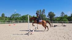 15% OFF WEEKDAY LESSONS Lanseria Horse Riding Classes &amp; Lessons _small