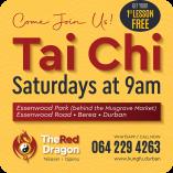 Tai Chi In The Park Durban City Tai Chi Classes &amp; Lessons _small