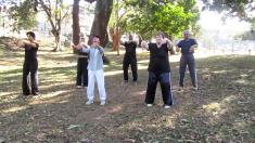 Tai Chi In The Park Durban City Tai Chi Classes &amp; Lessons 4 _small