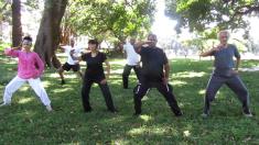 Tai Chi In The Park Durban City Tai Chi Classes &amp; Lessons 3 _small