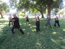 Tai Chi In The Park Durban City Tai Chi Classes &amp; Lessons 2 _small