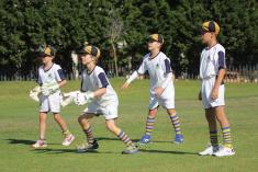 Under 11 LAST MAN STANDING TOURNAMEN Houghton Cricket Classes &amp; Lessons _small