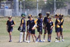 Jozi Cup Under Under 14 Houghton Cricket Classes &amp; Lessons 2 _small