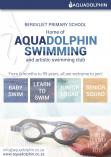 Aqua Dolphin Swimming Club Bergvliet Swimming Schools _small