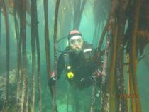 Buy 2 open water courses and get discounted rate Kommetjie Diving Classes &amp; Lessons 4 _small