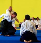 Aikido Shizentai Dojo Bryanston West Aikido  Classes & Lessons 2_small