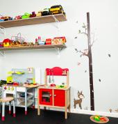 Toys and Play Area