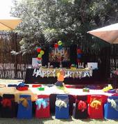 Lego Party