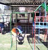 Kleintjie's Toddlers Edleen Day Care 1_small
