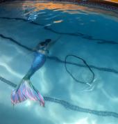 Merschool Midrand City Swimming Classes & Lessons 2_small