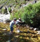 kids in mountain stream