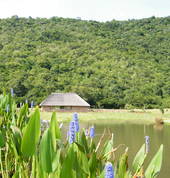 The trails around Mankele are a delight, for trail running / walks or simply enjoy nature