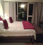 dolphin suite
