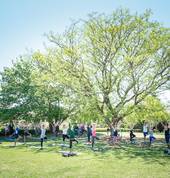 Yoga in the Park - Emmarentia