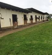 Stables