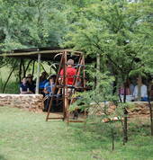 ShaTranj Mounted Archery Pretoria City Horse Riding School Holiday Activities 3_small
