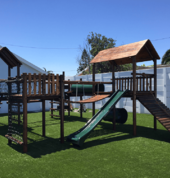 Custom jungle gym