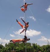 Acrobats