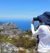 Venture Forth Adventure Guides / Gecko Grips Climbing Grips & Walls Montague Gardens Outdoor & Adventure School Holiday Activities 1_small
