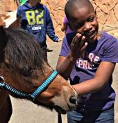 Nothing beats a pony at your party...just look at that smile ????
