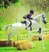 New Horse Haven Sun Valley Horse Riding Classes & Lessons 2_small