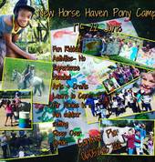 New Horse Haven Sun Valley Horse Riding Classes & Lessons 5_small