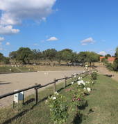 4 Beatiful arenas, large paddocks, brick stables, horse walker & More