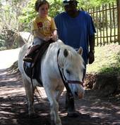 Pony rides for just R7 each. There is also a zipline for a little older kids.