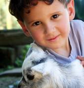 Children love petting the younger animals. Come and see them all.