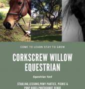 Corkscrew Willow Equestrian Chartwell Horse Riding Classes & Lessons 3_small