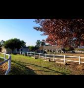 Capriole Stables Randjiesfontein Horse Riding Classes & Lessons 1_small
