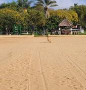 Capriole Stables Randjiesfontein Horse Riding Classes & Lessons 3_small