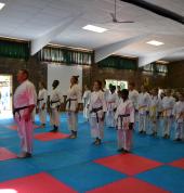 Waterberg Karate Academy Bela Bela City Karate Clubs 1_small
