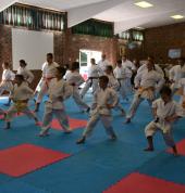 Waterberg Karate Academy Bela Bela City Karate Clubs 2_small