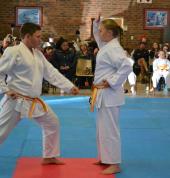 Waterberg Karate Academy Bela Bela City Karate Clubs 3_small