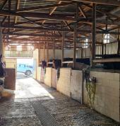 stables inside