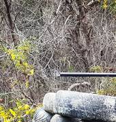 Paintball Aim Grassy Park Paintball 2_small