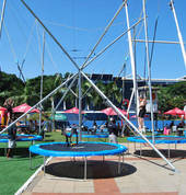 Bungee