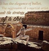 fencing - "physical chess"!