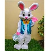 Partylanders Glenanda Party Hire 3_small
