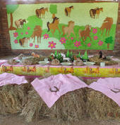 Decorations: We can decorate your party in any theme of your choice.