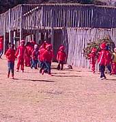Children on school Trip to Crocodile Park in May 2015