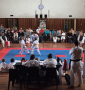Titan Karate Kabega Karate Clubs 2_small
