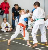 Titan Karate Kabega Karate Clubs 5_small