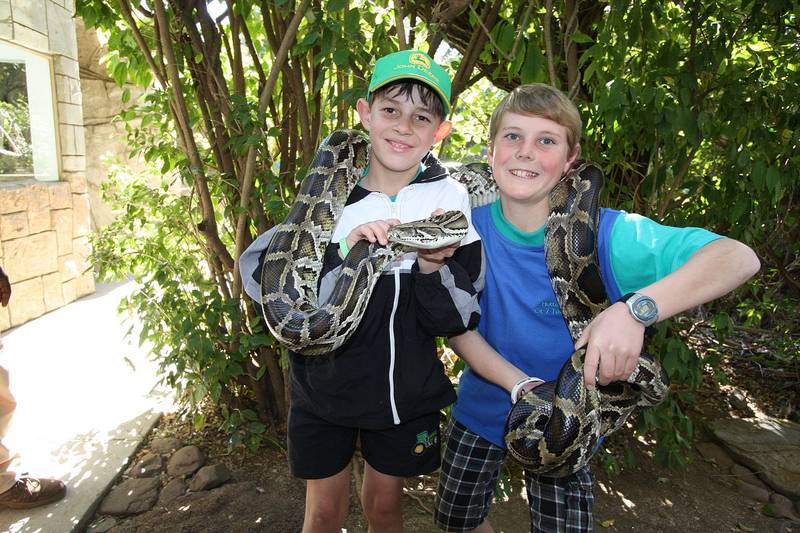 Kinyonga Reptile Centre - Reptile Parks for Kids - ActiveActivities