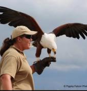 Flying demonstrations weather permitting 10h30 and 14h30